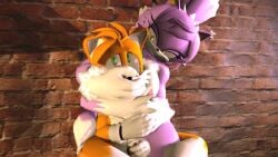 3d 3d_(artwork) bigger_female blaze_the_cat blaze_the_werecat dominant_female hug scared smaller_male smile sonic_(series) tails_the_fox