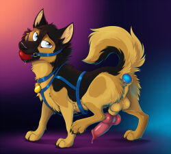 anal anal_penetration animal_genitalia animal_penis ball_gag balls black_body black_claws black_fur black_nose blue_eyes bodily_fluids buttplug buttplug_in_ass buttplug_insertion canid canine canine_genitalia canine_penis canis claws collar collar_tag domestic_dog erection feral fur gag gagged gagged_drooling genital_fluids genitals german_shepherd herding_dog knot knotted_penis looking_at_viewer male mammal mimi-fox object_in_ass orange_body orange_fur pastoral_dog paws penetration penis plug_(sex_toy) plug_insertion precum quadruped raised_tail sex_toy sex_toy_in_ass sex_toy_insertion sheath snout solo tail