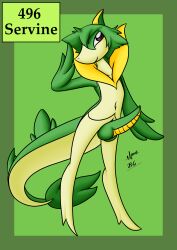 Pokemon (Species) Rule 34 Image