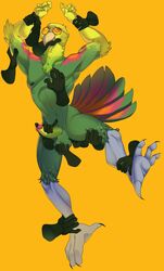 1boy anthro averageocporn avian balls disembodied_hand disembodied_hands erection eyewear furry glasses green_feathers handjob male male_only parrot penis simple_background solo sunglasses suspension testicles yellow_background