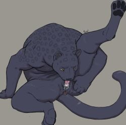absurd_res aircraft airplane anthro bodily_fluids cum cum_in_vagina cum_inside felid female furvilous genital_fluids genitals hi_res jet leopard licking mammal pantherine self_lick solo tongue vehicle vulva