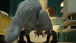 3d_(artwork) absurd_res anthro anus ass bandage bathroom beast_(bloodborne) bent_over blender_(artwork) bloodborne breasts butt_focus canid canine digital_media_(artwork) female fluffy fluffy_tail fromsoftware fur genitals hi_res horn mammal mrs_dexie mythological_canine mythological_creature mythology nude nude_anthro nude_female pussy rear_view solo sony_corporation sony_interactive_entertainment spread_legs spreading tail vicar_amelia vicar_amelia_(furromantic) werecanid werecanine werecreature werewolf white_body white_fur