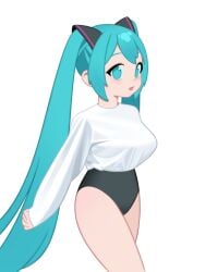 hatsune miku fan art