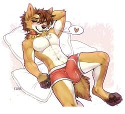 abs absurd_res anthro biceps blush boxers_(clothing) boxers_only bulge canid canine canis clothed clothing collar collar_only colored_seam_underwear domestic_dog f-r95 fur hair hand_behind_head heart_symbol herding_dog hi_res looking_at_viewer lying male mammal muscular muscular_anthro muscular_male nude on_back pastoral_dog pillow presenting red_clothing red_underwear scott_(corgipudding) simple_background smile smiling_at_viewer solo tail teeth topless underwear underwear_only welsh_corgi white_body white_fur white_seam_underwear