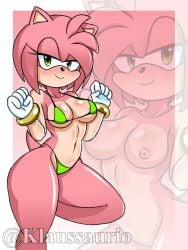 amy_rose klaussaurio tagme