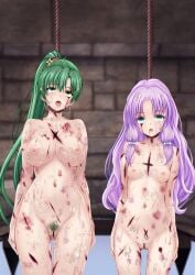 2girls after_rape aqua_eyes ass_visible_through_thighs bar_censor blood breasts bruise censored completely_nude corpse cum cum_on_body cum_on_breasts cuts empty_eyes ero_guro execution female_pubic_hair fire_emblem fire_emblem:_the_blazing_blade florina_(fire_emblem) florina_(ninja)_(fire_emblem) green_eyes green_hair guro hanged highres injury large_breasts long_hair lyn_(fire_emblem) lyn_(ninja)_(fire_emblem) multiple_girls ninja nipples not_a_chan nude open_mouth ponytail pubic_hair purple_hair pussy small_breasts tongue tongue_out