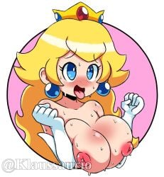 klaussaurio princess_peach tagme