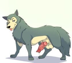 animal_genitalia balls beastars big_penis bodily_fluids cajuzinho02 canid canine canis cum feral genital_fluids genitals hi_res hybrid legoshi_(beastars) male male/male mammal penis precum solo wolf