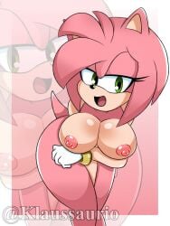 amy_rose klaussaurio tagme