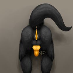 anthro anus ass ass_focus ass_shot balls black_body black_fur black_hair blank_background colored colored_flesh coloured coloured_flesh cuntboy dark_body dark_fur dark_hair full-package_cuntboy furry furry_only glory_hole herm hermaphrodite highlights_(coloring) intersex intersex_anthro intersex_focus intersex_only knot knotted_penis labia labia_majora labia_minora maleherm multi_genitalia non-human non-human_only original_art original_artwork original_character penis penis_out plain_background pussy pussy_out signature solo solo_focus unknown_species vagina vulva yellow_anus yellow_flesh yellow_penis yellow_pussy