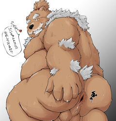 2020 anthro anus ass blush bodily_fluids brown_body brown_fur chobikuma fur hi_res humanoid_hands japanese_text kemono male male_only mammal one_eye_closed overweight overweight_male simple_background solo sweat text ursid wink