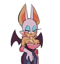 Sonic (Series) Rule 34 Image