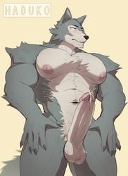 2020 abs absurd_res anthro balls beastars bodily_fluids canid canine erection fur genital_fluids genitals grey_body grey_fur haduko1 hi_res humanoid_genitalia humanoid_penis legoshi_(beastars) male male_only mammal muscular muscular_male navel nipples nude pecs penis precum solo solo_male