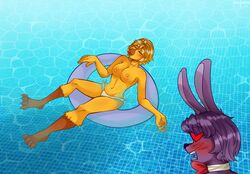 absurd_res avian bird blush bonnie_(fnaf) bonniexchica bow_tie breasts chica_(fnaf) chicken classic_chica_(fnaf) clothing duo female five_nights_at_freddy's galliform gallus_(genus) heart hi_res inner_tube lagomorph leporid love male mammal moofooroo panties phasianid pool_float rabbit relaxing straight swimming_pool swimwear underwear video_games water