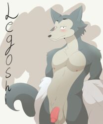 absurd_res alex_kitsune anthro balls beastars blush canid canine canis clothed clothing flaccid genitals hi_res legoshi_(beastars) looking_at_viewer male male_only mammal nervous partially_clothed penis presenting shy simple_background solo solo_focus standing wolf