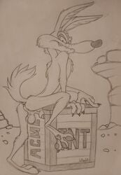 absurd_res animal_genitalia animal_penis anthro anus canid canine canine_penis canis coyote english_text genitals hi_res looney_tunes lufeed male male_only mammal paws penis sheath smooth_fur smug solo suggestive_pose text warner_brothers wile_e._coyote