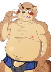 2018 anthro belly blush brown_body brown_fur bulge canid canine clothing fur genitals humanoid_hands kemono male male_only mammal moobs navel nipples overweight overweight_male penis raccoon_dog ryuta-h simple_background solo tanuki underwear white_background