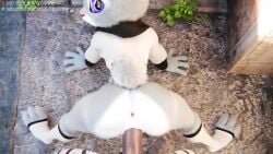 3d 3d_animation animated anthro anthro_female anthro_male anthro_male_on_anthro_female anthro_on_anthro anthro_penetrated anthro_penetrating anthro_penetrating_anthro anus bent_over bottomless bottomless_female bunny bunny_girl doggy doggy_style doggy_style_position duo erect_penis erection female genitals grey_body grey_fur judy_hopps legwear looking_at_viewer looking_back looking_back_at_viewer male male/female opennsfwsp opusnine partially_clothed partially_clothed_anthro partially_clothed_female penetration penile penile_penetration penis penis_in_pussy pink_nose pochemu purple_eyes pussy sex sex_from_behind sladdoska sound sound_effects straight tagme tail top_view topwear vagina vaginal_penetration vaginal_sex video white_body white_clothes white_clothing white_fur white_shirt zootopia