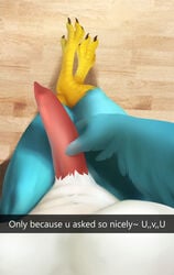 absurd_res anthro avian blue_body blue_feathers crossed_legs english_text erection feathers feet first_person_view genitals hi_res kris_(krisdabirb) male male_only miraoff penis presenting presenting_penis relaxing snapchat solo tapering_penis teasing text