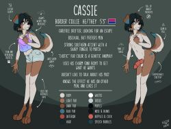 4:3 anthro bare_shoulders bisexual_pride_colors border_collie bottomwear canid canine canis cassie_(espressothegoat) clothing collie color_swatch cropped_tank_top denim denim_bottomwear denim_clothing denim_shorts domestic_dog english_text espressothegoat femboy flat_colors fur genitals grey_eyes herding_dog hi_res inverted_cross_necklace jewelry knot knotted_penis lgbt_pride looking_at_viewer male mammal midriff model_sheet multicolored_body multicolored_fur necklace necklace_only nipples nude nude_anthro off-shoulder_top off/on pastoral_dog paws penis pride_colors sheepdog shorts solo spots text translucent translucent_clothing translucent_topwear