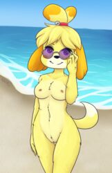 2020 animal_crossing anthro beach breasts casual_nudity isabelle_(animal_crossing) kingnaga nintendo nipples public_nudity pussy