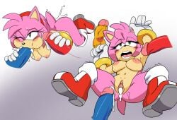 amy rose from sonic (series) by leatherruffian
