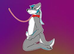 4_eyes animal_genitalia anthro canid canine canis collar genitals lavinahusky leash male male_only mammal multi_eye sheath solo viperwolf wolf wolfie_kif