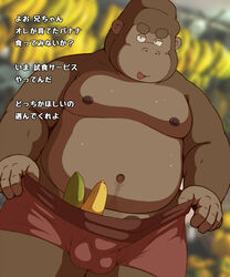 2019 anthro ape balls_outline banana barely_visible_genitalia barely_visible_penis belly bulge clothing food fruit genital_outline genitals gorilla haplorhine hi_res humanoid_hands japanese_text kemono male male_only mammal moobs navel nipples one_eye_closed overweight overweight_male penis plant primate ruco solo text underwear wink