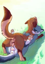 absurd_res anatomically_correct anatomically_correct_genitalia anatomically_correct_penis animal_genitalia animal_vulva anus arcticos balls bite blue_eyes blush bodily_fluids brown_body canine_genitalia canine_vulva claws cum domestic_ferret duo female feral genital_fluids genitals grass grey_body hi_res hug male male/female mammal mustelid musteline pawpads paws penetration penile penile_penetration penis penis_in_vagina plant raised_head sheath simple_background tail true_musteline vaginal_penetration weasel whiskers white_body