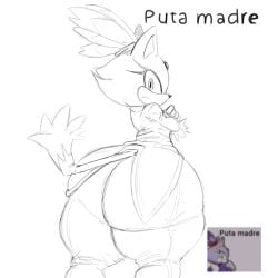 big_ass blaze_the_cat feline_humanoid huge_ass large_ass meme nosoyblobis puta_madre reference_image sonic_(series) sonic_rush sonic_the_hedgehog_(series) source_request