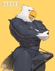 2020 absurd_res animal_crossing anthro apollo_(animal_crossing) avian bara erection furry furry_only genitals haduko1 hi_res male muscular muscular_male navel nintendo no_humans pecs penis simple_background standing video_games yaoi