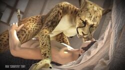 3d animated anthro athletic_female big_penis cavafly01 cheetah cowgirl_position dominant_female female femdom fur furry human human_on_anthro human_penetrating interspecies kumba light-skinned_male male male_human/female_anthro male_on_anthro no_sound pale-skinned_male pale_skin sex straight vaginal vaginal_penetration video