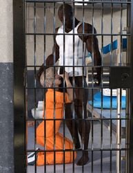 2boys 3d big_penis dark-skinned_male dark_skin fellatio femboy gay holding_penis human human_only interracial jail_cell kneeling light-skinned_femboy light-skinned_male light_skin male male_only maledom malesub muscular_male pimp3d prison prison_sissy_white_boy prison_uniform smutnut yaoi