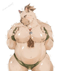 2020 anthro belly blush bodily_fluids canid canine canis closed_eyes clothing cum domestic_dog genital_fluids genitals hi_res humanoid_hands kemono male male/male mammal moobjob moobs overweight overweight_male penis simple_background solo_focus sweat tokyo_afterschool_summoners uma_shika19 underwear video_games white_background yasuyori