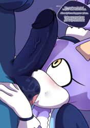 anthro blaze_the_cat blowjob blowjob_face feline futanari maid_uniform penis saltorii sega sonic_(series) sonic_the_hedgehog_(series) tagme