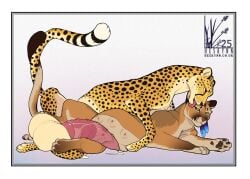 cheetah cougar felid feline furry hyper jasiri mammal pregnant