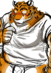 2013 anthro araiguma_11 balls belly blush clothing felid genitals humanoid_hands kemono male male_only mammal navel overweight overweight_male pantherine penis shirt simple_background solo tiger topwear white_background