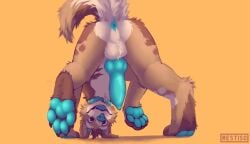 anus balls canid canine canis cyan domestic_dog feet feral floppy_ears genitals happy hi_res hindpaw hole_(disambiguation) invalid_tag knot male mammal mestiso_(character) mestisoart pads_(disambiguation) paws penis solo toes