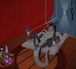 6_toes absurd_res anal anal_beads anal_sex anus bondage bound carpet clothing crotch_breasts curtains dildo feet feral feral_only furniture futanari genitals herm heyupyoursjr hi_res intersex kobold legwear lube penetration penis pussy razor_feather restrained ribbons rope scalie sex_toy solo stockings suspension table tapering_penis toes vaginal_penetration