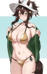 1girls 2025 animal_ears arknights armpit_crease bare_shoulders bikini black_choker blush breasts brown_hair choker cleavage coat collarbone cowboy_shot ears_through_headwear fangsod female gold_bikini green_coat green_eyes groin hair_ornament hat hi_res horse_ears horse_girl horse_tail large_breasts looking_at_viewer meteor_(arknights) navel official_alternate_costume ponytail shiny_clothes shiny_skin side-tie_bikini_bottom simple_background skindentation smile solo spaghetti_strap star_(symbol) star_hair_ornament stomach string_bikini sun_hat swimsuit tail thighs