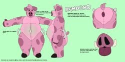 ambiguous_gender animate_inanimate anthro anus domestic_pig hamoond_(havhavoc) handles_on_thighs havhavoc hi_res inflatable living_inflatable living_sex_toy male mammal model_sheet pool_toy solo suid suine sus_(pig) text