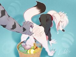 4:3 4_fingers 5_fingers anal animal_genitalia animal_penis anthro backsack balls biped claws dipstick_tail duo easter easter_egg erection fingers fur genitals hi_res holidays inner_ear_fluff male male/male mammal markings mustelid mustelid_penis musteline penis poulet-7 sharp_teeth stoat stoaty tail tail_markings teeth tongue tongue_out true_musteline tuft weasel white_body white_fur