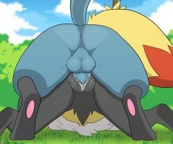 ass balls black_feet black_vagina blue_balls blue_fur blue_penis blue_sky braixen clouds cum cum_inside cum_on_vagina fox fox_girl fox_tail grass lucario male/female male_penetrating_female nintendo penis penis_in_vagina pokemon pokemon_(species) tail testicles trees winick-lim