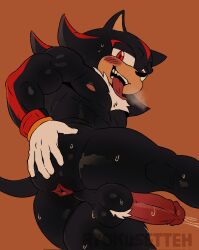 shadow the hedgehog from sega by ryokusetteh