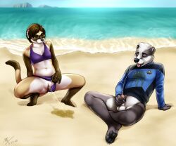 anthro badger balls beach black-footed_ferret bodily_fluids bottomless bottomless_male clothed clothing domestic_ferret duo european_badger eyewear female foreskin genital_fluids genitals glasses male male_focus mammal meles moody_(moodyferret) moodyferret mustelid musteline outdoor_pee partial_nudity pawpads peeing peeing_together penis pussy sea star_trek_the_next_generation starfleet_insignia starfleet_uniform stewart_bawson swimwear tongue true_musteline uncircumcised urinating urinating_female urination urine water watersports weasel