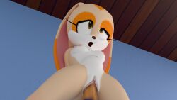 1boy 1girls blender bunny cream_the_rabbit dekaranger female male rabbit render sega sex sonic_(series) sonic_the_hedgehog_(series) vagina vaginal_penetration