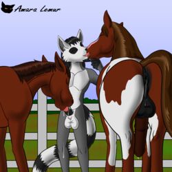 1:1 amara amara_lemur anthro anthro_on_feral anthro_penetrating anthro_penetrating_feral anus ass balls bodily_fluids conditional_dnp cum cum_feeding cum_leaking equid equine fence feral feral_penetrated french_kissing genital_fluids genitals horse kissing lemur male male/male mammal mane oral oral_penetration penetration penile_penetration penis penis_in_mouth presenting presenting_hindquarters primate quadruped ring-tailed_lemur ringtail saliva sex strepsirrhine tongue zoophilia