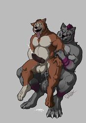 absurd_res anal anal_sex animal_genitalia animal_penis anthro balls big_balls big_penis bodily_fluids canid canine canine_penis canis cum cum_in_ass cum_inside cum_leaking cum_on_ground cumshot digitigrade duo ejaculation fullbodywolf fur genital_fluids genitals grey_body grey_fur hair hi_res huge_balls huge_cock inflation inflation knot looking_at_another looking_at_partner male male/male mammal orange_body orange_fur penetration penis pink_hair sheath simple_background sitting size_difference tongue tongue_out were werecanid werecanine werewolf wolf ypsilon