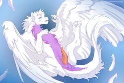 coinn8 dragon feathers feral genitals male_only penis simple_background