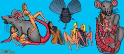6girls cum female fly grey_fur insects male multiple_girls orgy original rat ritual